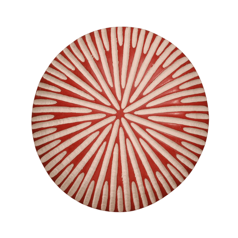 Bamileke Shield Red Tonga